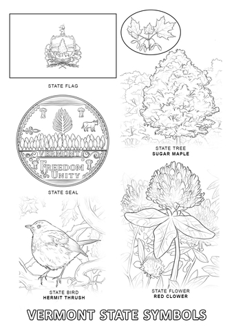 Vermont State Symbols Coloring page