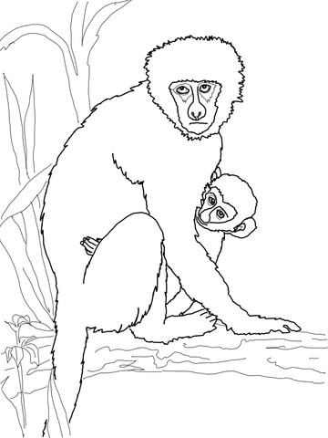 Vervet Monkey with Its Baby Coloring page