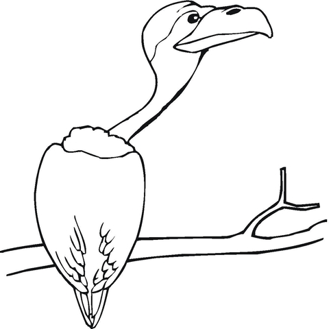 Vulture Sitting on the Tree  Coloring page