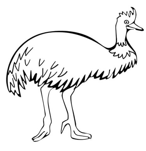 Walking Emu Coloring page