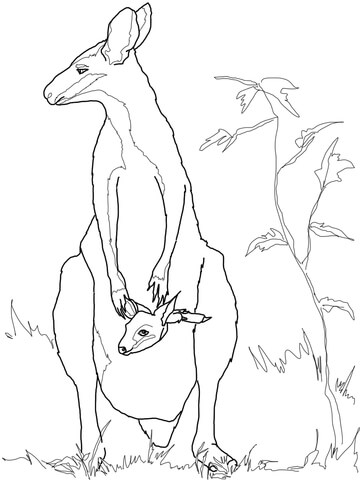Wallaby Baby with Mother Coloring page