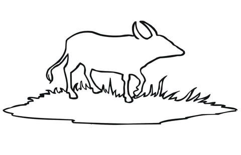 Water Buffalo Outline Coloring page