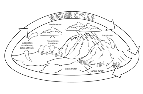 Water Cycle Coloring page