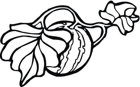 How does watermelon grow Coloring page