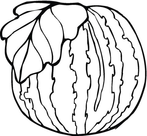 Watermelon 6 Coloring page