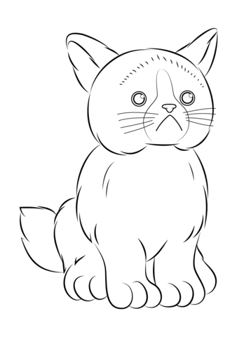 Webkinz Grumpy Cat Coloring page