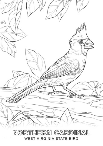 West Virginia State Bird Coloring page