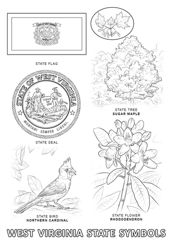 West Virginia State Symbols Coloring page
