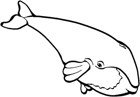Whale 4 Coloring page