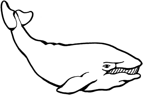Whale 6 Coloring page