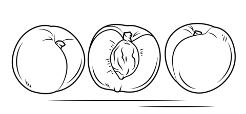Whole fruites and cross section of a white peach Coloring page