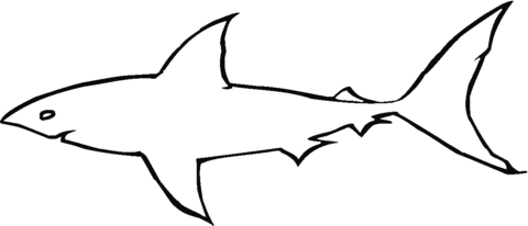 Great White Shark Outline Coloring page