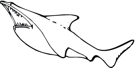 Great White Shark Attack Coloring page