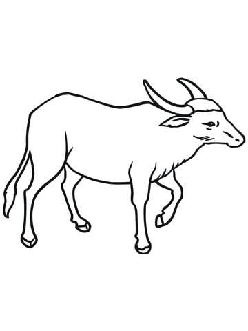 Wild Asian Water Buffalo Coloring page