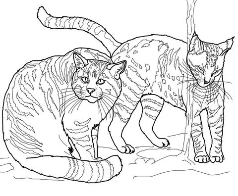 European Wildcats Coloring page