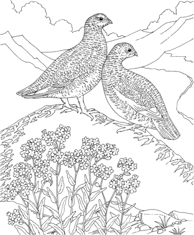 Willow Ptarmigan and Forget me Not Flowers Alaska Bird and Flower Coloring page
