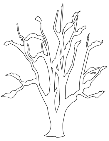 Winter Bare Tree Coloring page