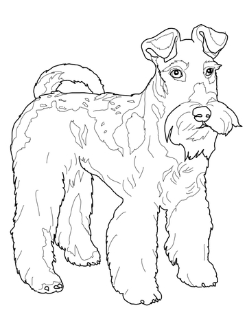 Wire Fox Terrier Coloring page