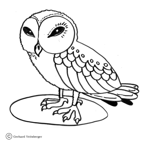 Wise Little Owl  Coloring page