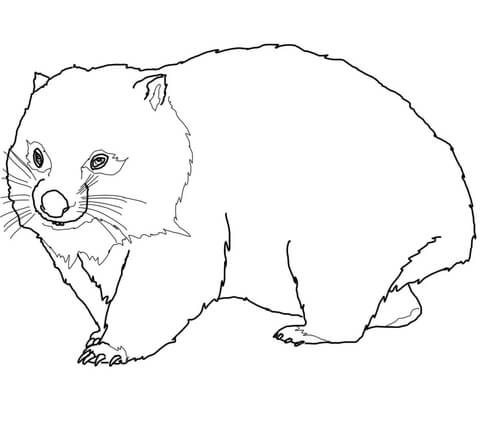 Wombat Coloring page