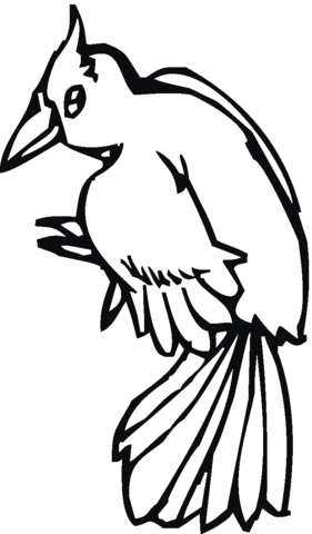 Woodpecker 1 Coloring page
