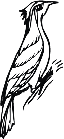 Woodpecker 14 Coloring page