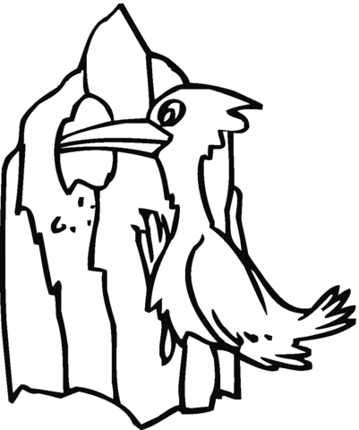 Woodpecker 15 Coloring page