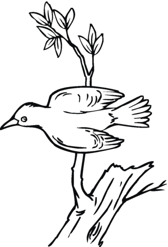 Woodpecker 17 Coloring page