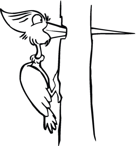 Woodpecker 24 Coloring page
