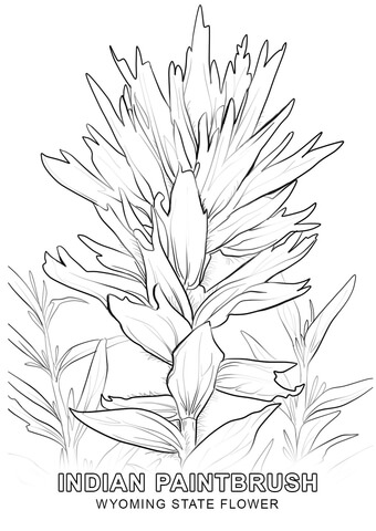 Wyoming State Flower Coloring page