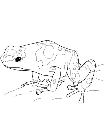 Yellow Banded Poison Dart Frog Coloring page