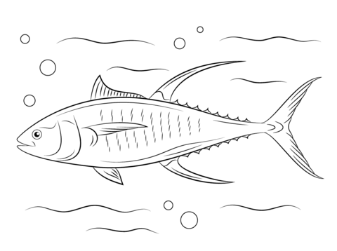 Cute Yellowfin Tuna Coloring page