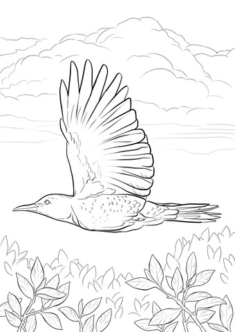 Yellowhammer Flying Coloring page