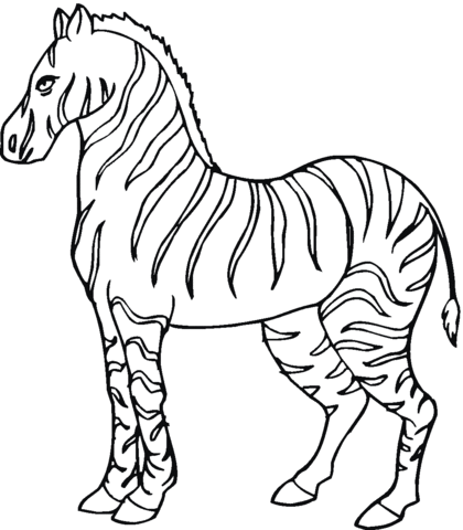 Zebra 6 Coloring page