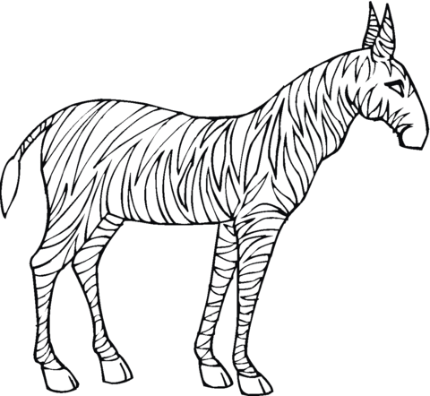 Zebra 8 Coloring page