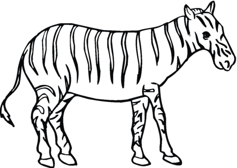 Zebra 9 Coloring page