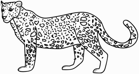 Leopard Coloring page