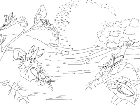 Plague of Locusts Coloring page