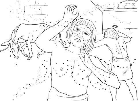 Plague of Lice or Gnats Coloring page