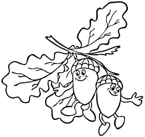 Acorns  Coloring page