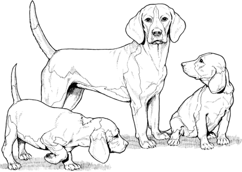 Beagle with Puppies Coloring page