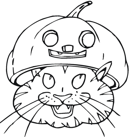 Black Cat In Jack-o'-lantern Coloring page