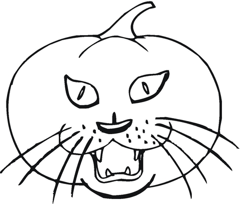 Cat Pumpkin  Coloring page