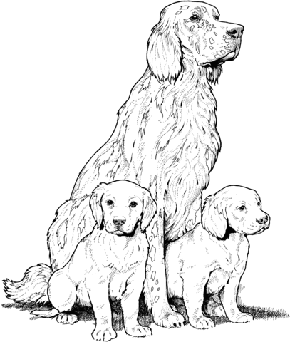 Labrador with Puppies Coloring page