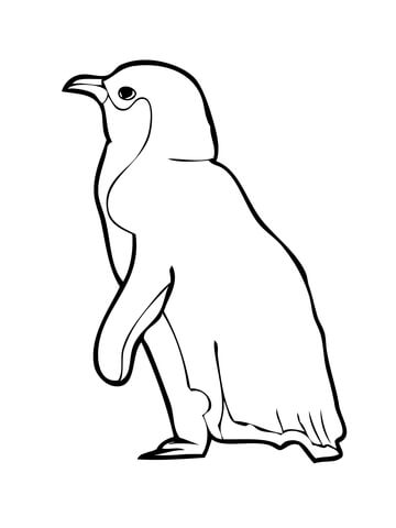 Little Penguin Coloring page