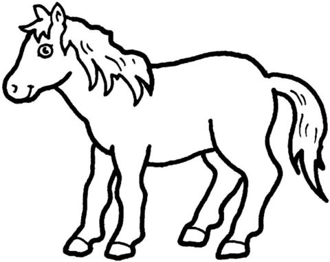 Pony  Coloring page