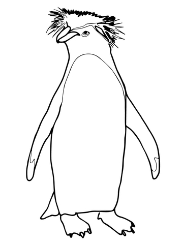 Rockhopper Penguin Coloring page