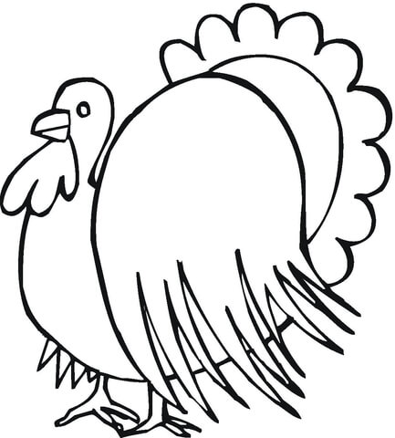 Turkey For Thanksgiving Day  Coloring page