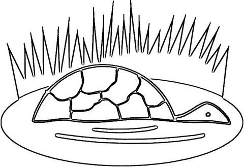 Turtle Coloring page