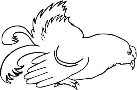 Hen Coloring page